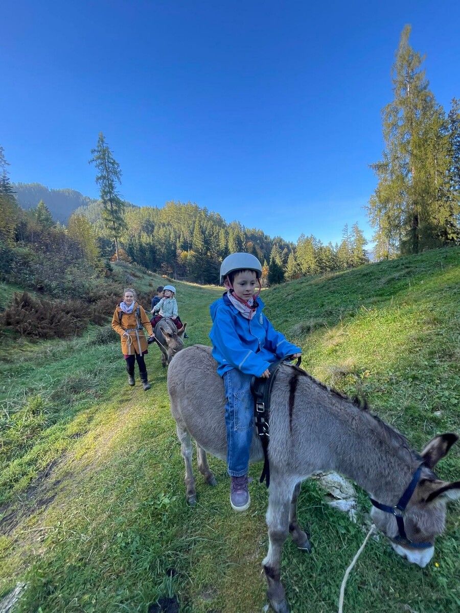 Mael ist gerne im Wald und in der Natur. Seine Familie begleitet ihn dabei ebenso gerne. ⇒Mika