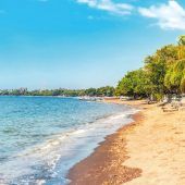 Delfine beobachten in Lovina