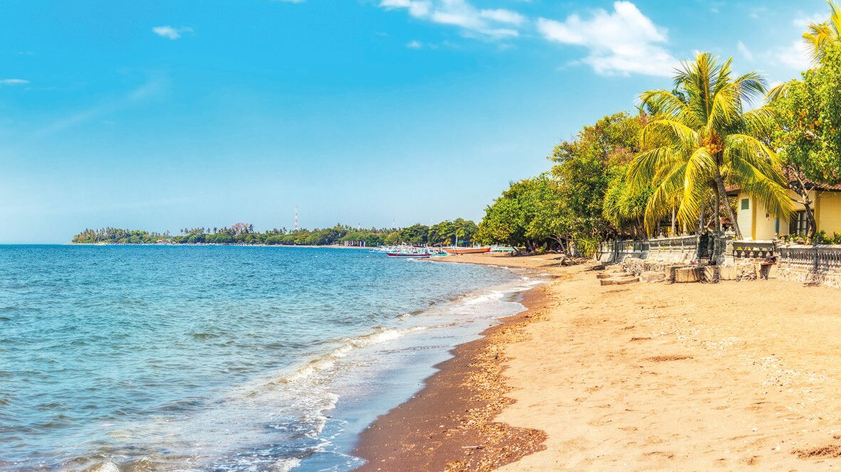 Palmen und dunkler Vulkansand prägen den Strand von Lovina.⇒Shutterstock