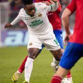 Herbe 1:4-Schlappe für SK Rapid