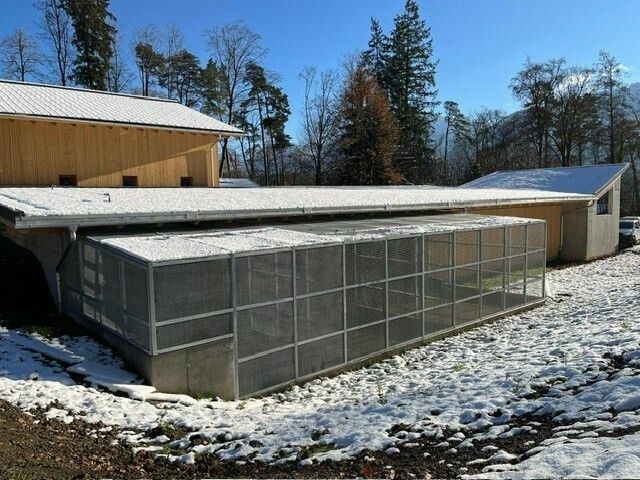 So sieht die Quarantänestation für herrenlose Wildtiere aus.