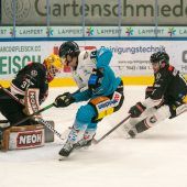 Pioneers bleiben weiter Punktelieferant