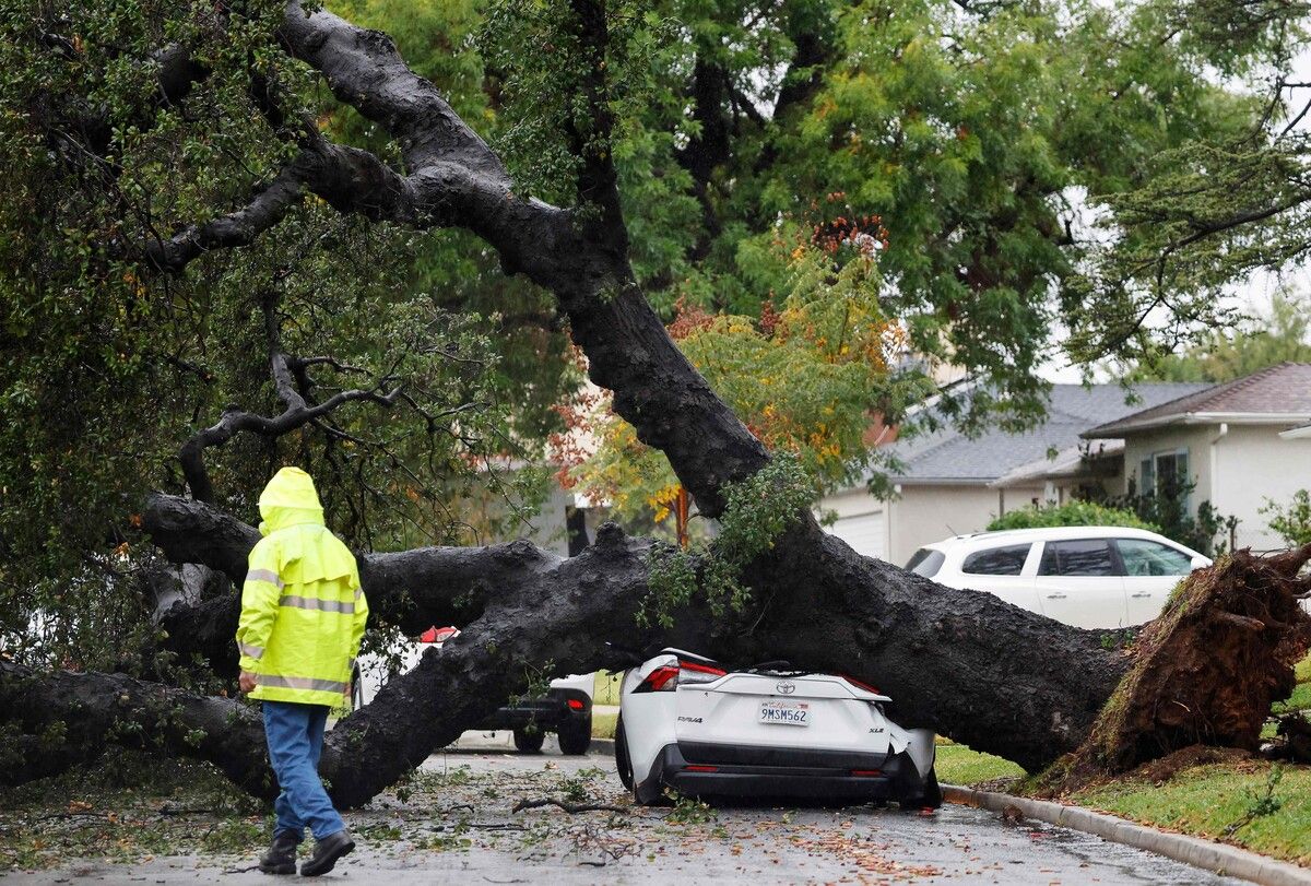 Umgestürzte Bäume richteten großen Sachschaden an.⇒AFP