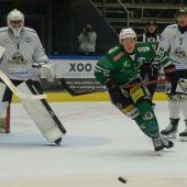 Wälder weiterhin in der Erfolgsspur