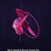 Manege frei für den Weihnachtscircus!