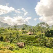 Das Tal der Reisfelder