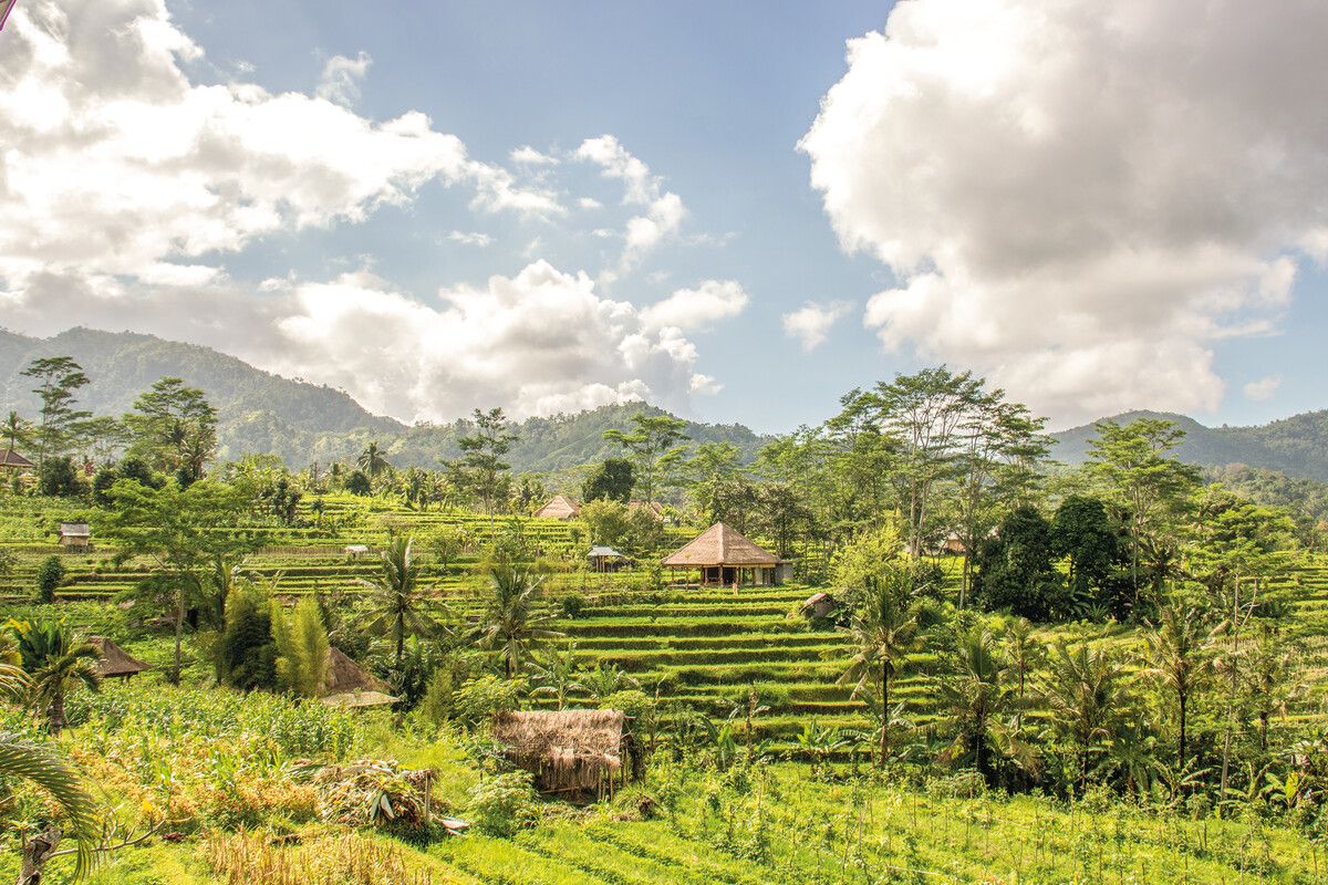 Zwischen Palmen und Reisfeldern liegt Sidemen im Osten von Bali.⇒Shutterstock