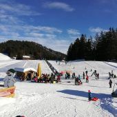 Ein Paradies für Schneeflöhe