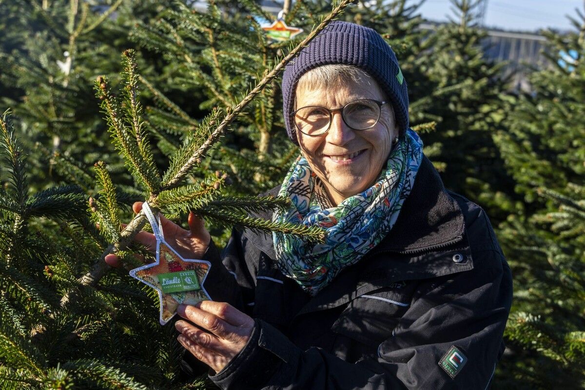 Balbina Jochum ist Christbaumproduzentin. Erkennungsmerkmal der echten Ländle-Christbäume ist der Ländle-Stern. VN/Paulitsch