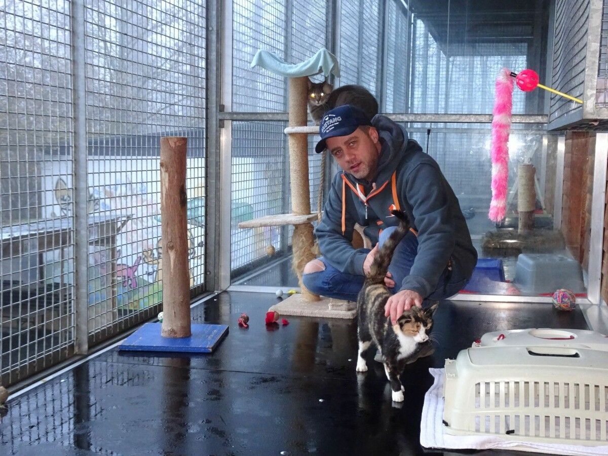 Besonders dringlich war zuletzt die Sanierung der Katzenbalkone, die ein großes Loch ins Budget riss. ⇒Carmen Thurnher