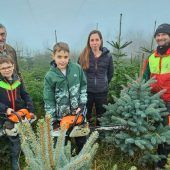 Weihnachtsbäume in vierter Generation