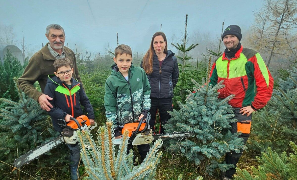 Das Christbaumgeschäft hat bei der Familie Felder-Zussner langjährige Tradition: Harald und Verena Zussner mit Emil, Lorenz und Opa Pius bei der Christbaumernte im Tannenwald in der Parzelle „Am Vögel“ an der Pfänderstraße.⇒Manfred Schallert