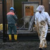 Ausmaß der Schäden nach Pipeline-Leck werden geprüft