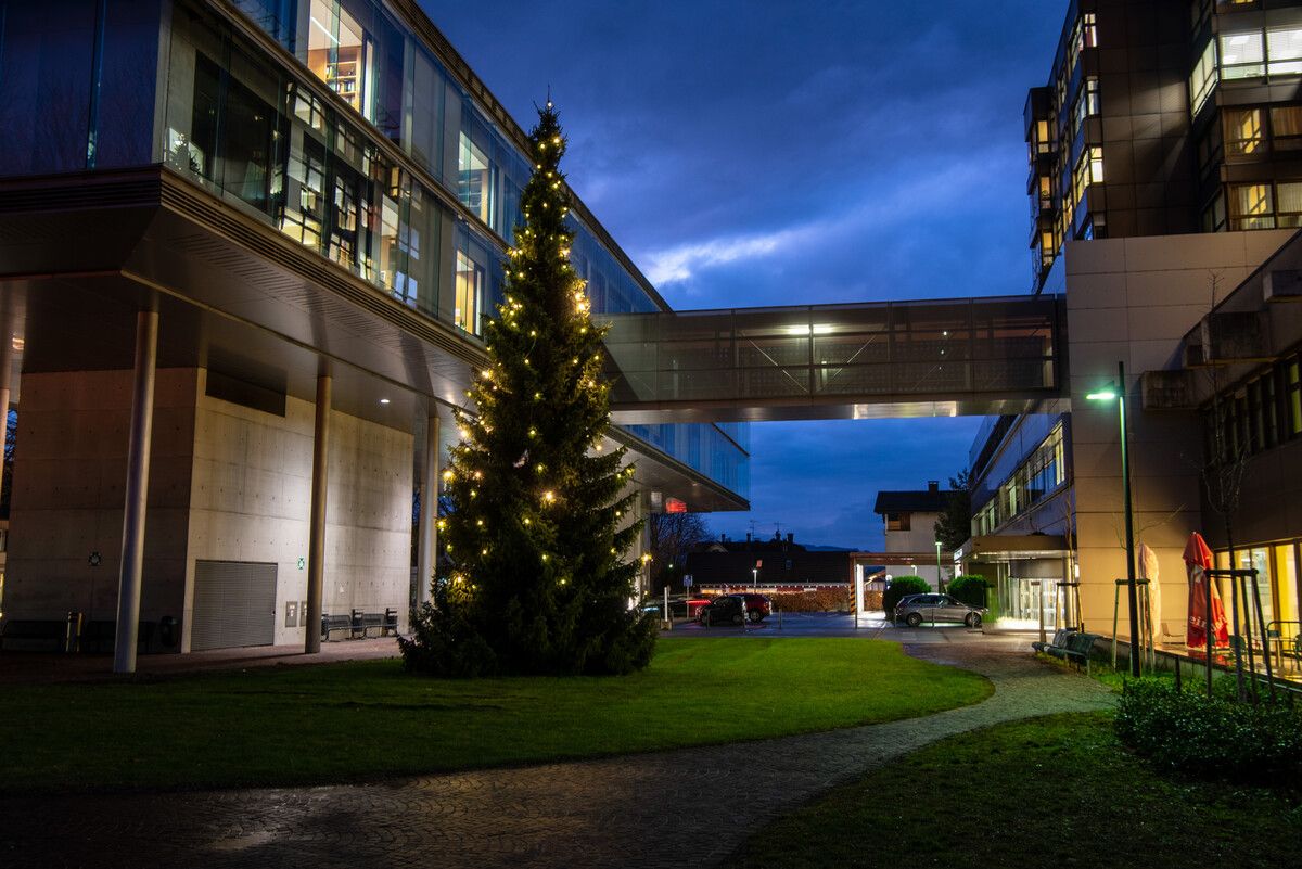 Der Christbaum vor dem Krankenhaus Dornbirn soll zu einem Christbaum der Erinnerung werden.⇒Stadt