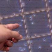 Genetik-Skandal um Spender