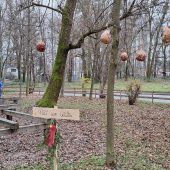 Ein Weihnachtsweg im Hatlerdorf