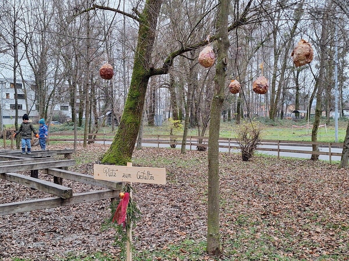 Der Kindi Niederbahn gestaltete einen Weihnachtswanderweg.⇒Stadt