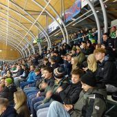 Die Wälder nahmen Revanche