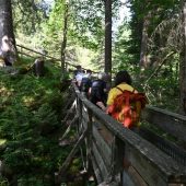 500 Teilnehmer auf ­Entdeckungsreise in der Natur