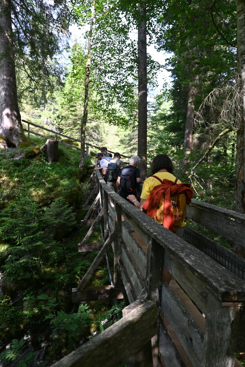 Die Exkursionen wurden vom Land in Kooperation mit 30 Gemeinden und unterschiedlichen Akteuren im Bereich des Naturschutzes organisiert. ⇒VLK