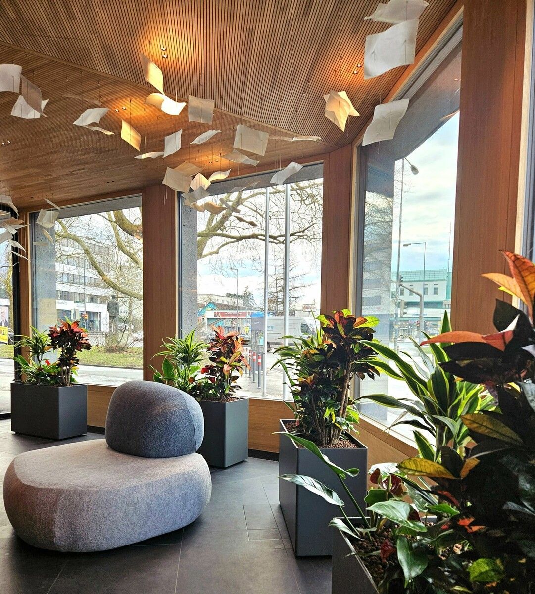 Die Kernkompetenz von Blumen Hotz ist jetzt Bürobegrünung wie diese in einem Gebäude in Bregenz. ⇒FA