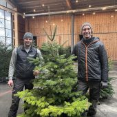 Christbäume vom Forstbetrieb