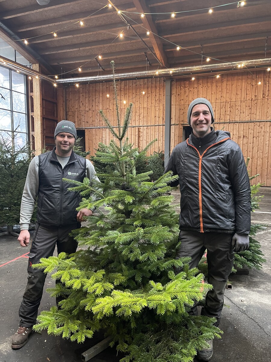 Die Mitarbeiter des städtischen Forstbetriebs freuen sich auf viele Kunden.⇒stadt