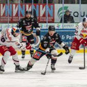 Dem Meister Punkt abgeknöpft