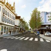 Platanen müssen weichen