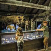 Tickets gewinnen für die inatura Dornbirn