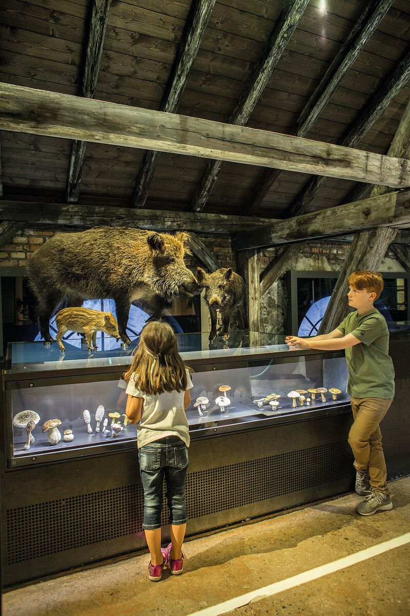 Die VN verlosen 7 x 2 Familien-Tickets für die inatura. ⇒Petra Rainer