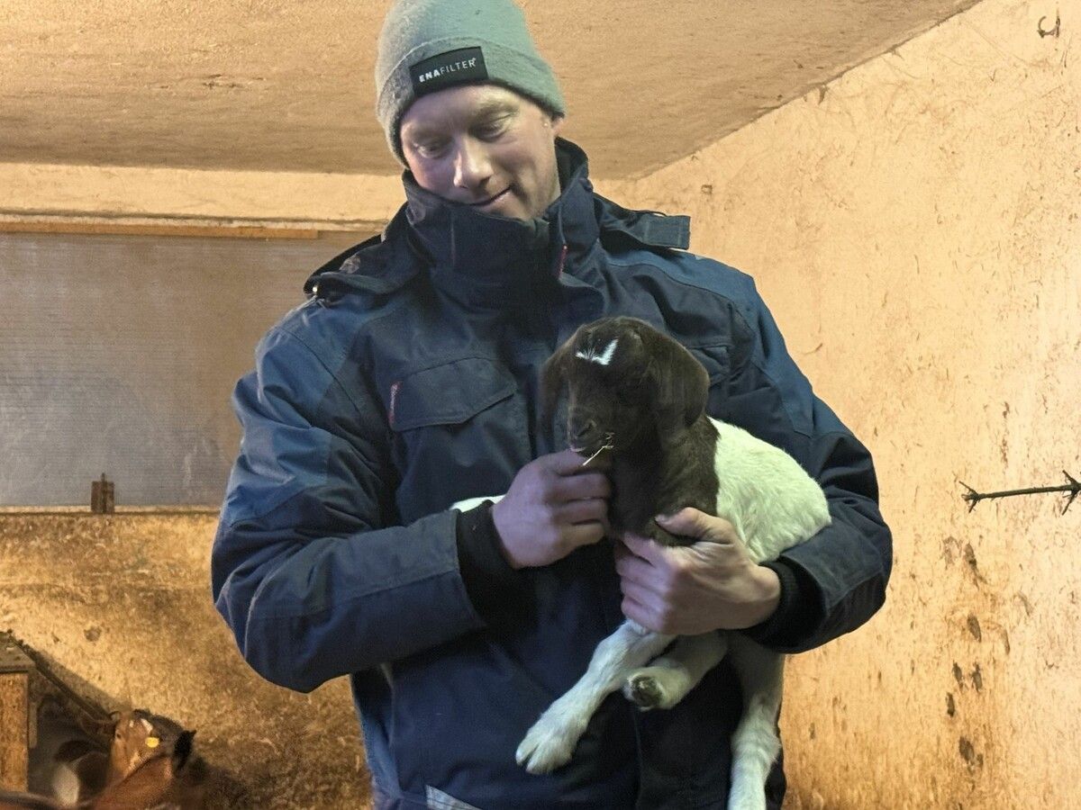 Diese kleine Ziege von Matthias Marte darf im Sommer auch mähen gehen. ⇒VN/dos (3)