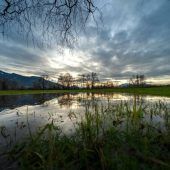 Weiße Weihnachten heuer nur ein Traum