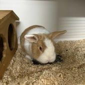 Kira ist aufgeweckt und freundlich