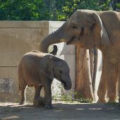 Rückkehr nach Berlin