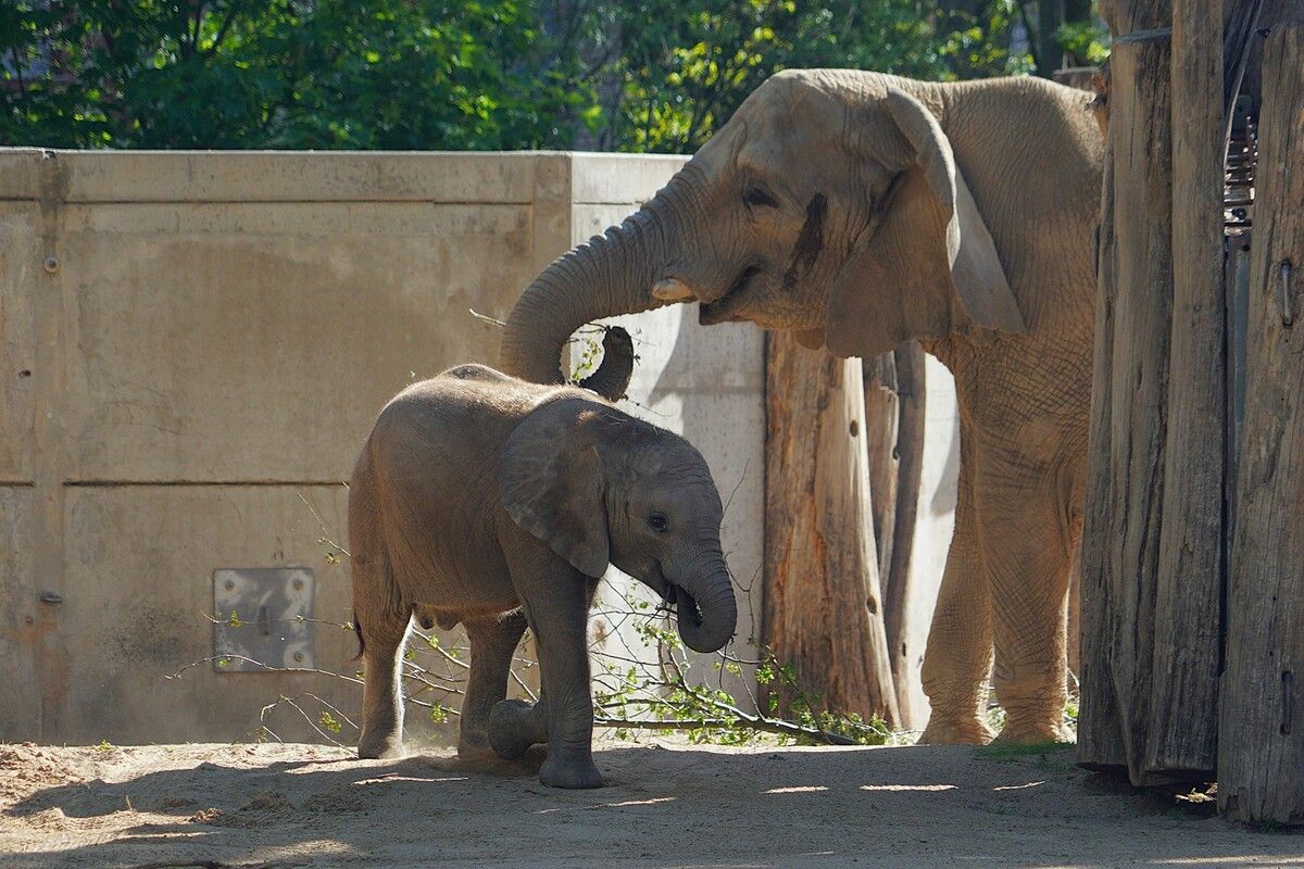 Rückkehr nach Berlin