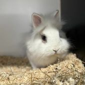 Rocky hat ein großes, warmes Herz