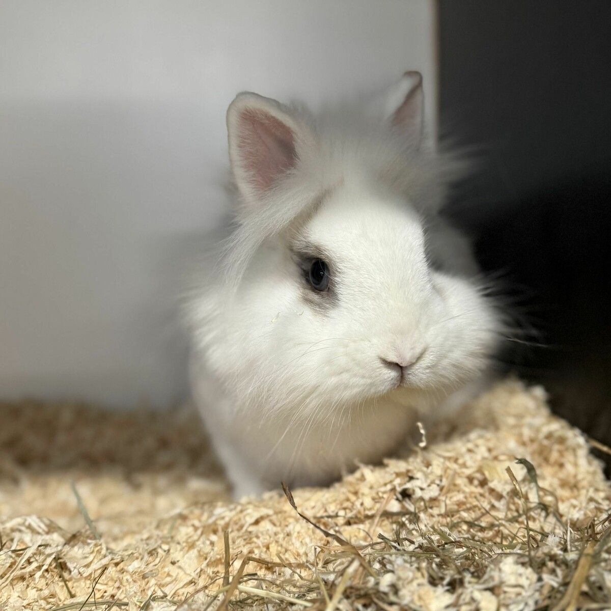 Rocky hat ein großes, warmes Herz