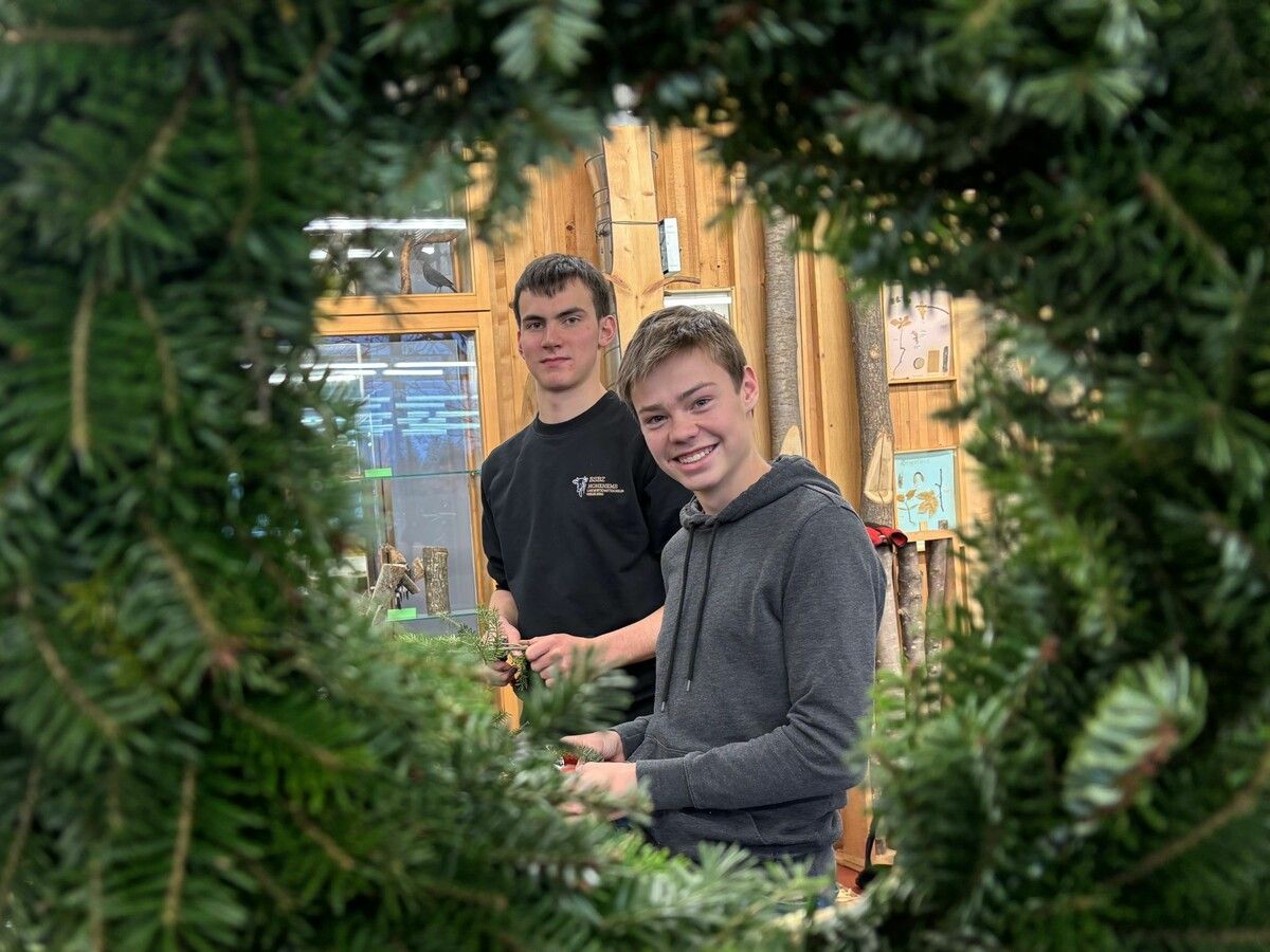 Vorbereitungen für Weihnachtsmarkt