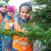 Ein magischer Tag im Christbaumwald