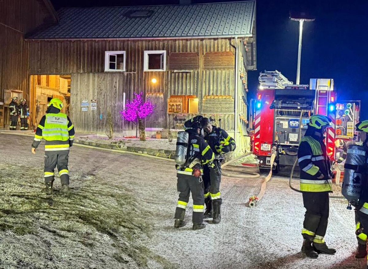 Katzen warnten Bewohner vor Brand in Egg-Großdorf. »A8