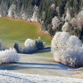 Frost und Sonne