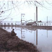 Ein Industrieschloss im Auwald