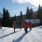 Stark durch den Winter