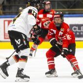 Tolle Atmosphäre trotz Heimniederlage