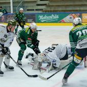 Die Wälder sind wieder  in der Spur