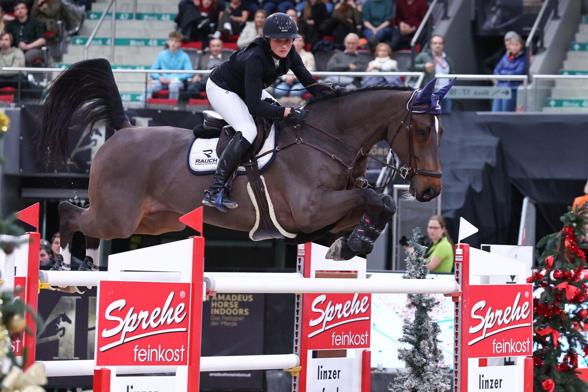 Noch offen ist, ob Katharina Rhomberg im Hauptbewerb Cuma 5 oder Colestus Cambridge zum Einsatz bringen wird. ⇒GEPA