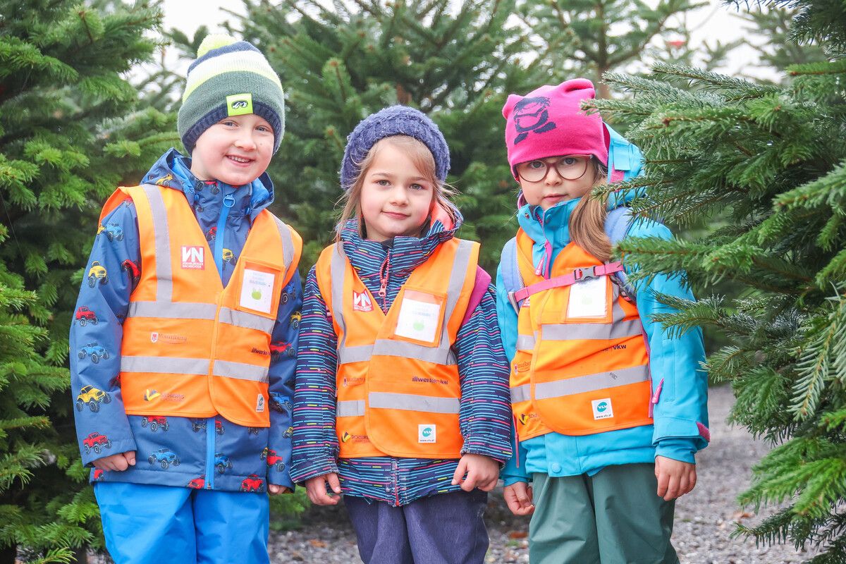 Oskar (5), Mina (4) und Aleyna (5) spazieren interessiert durch den Christbaumwald. ⇒VN/Steurer