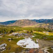 Weißgestreifte Weihnacht