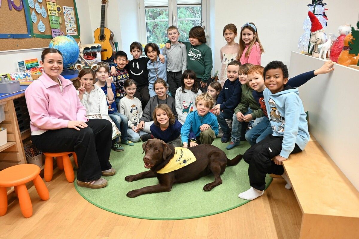 Schulhund Bobby ist in der 2a-Klasse der Volksschule Mehrerau nicht mehr wegzudenken.⇒Bernadette von Sontagh